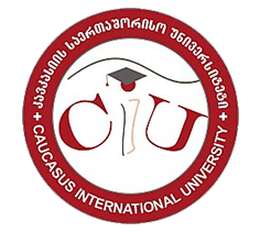 caucasus-international-university
